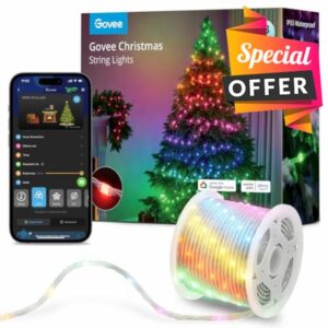 Govee Christmas String Lights