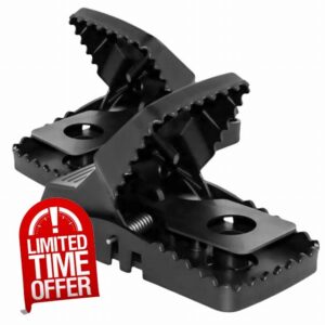 XXL Rat Traps - 2 Pack Large Heavy Duty Reusable