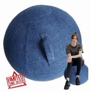 WaTsky 85Cm Yoga Ball Cover Yoga Ball Accessories Sitting Ball Chair Protection Anti Scratch Exercise Ball Cover with Handle for Stability Ball