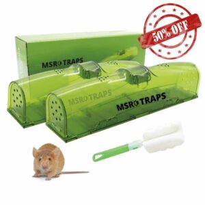 Mouse Traps