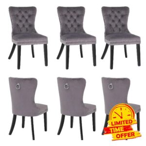 YOURLITE Dining Chairs
