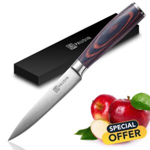 PAUDIN Utility Knife