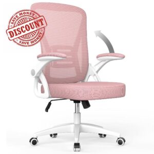 aspaluro Office Chair Ergonomic Desk Chair with 90° Flip-up Armrest Lumbar Support