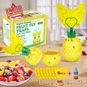 Fruit Fly Trap Indoor