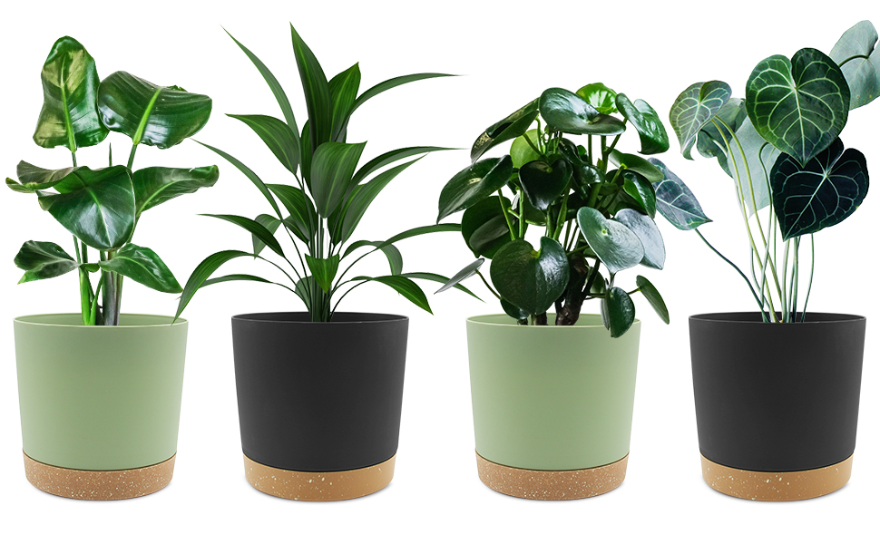 plastic plant pot