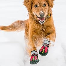 dog boots for injured paws protectors waterproof dog shoes