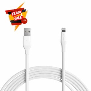 Amazon Basics Lightning to USB-A Cable for iPhone