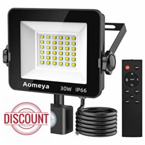 Motion Sensor Outdoor Security Light