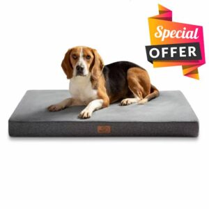 Bedsure Memory Foam Dog Bed Medium - Orthopedic Dog Mattress Bed for Small Crate with Removable Washable Cover