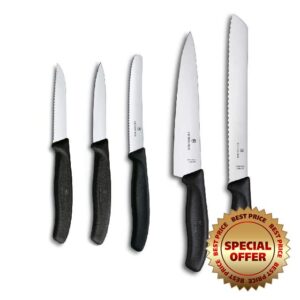 Victorinox V6.7133.5G