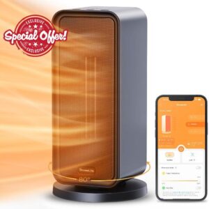 GoveeLife Electric Heater