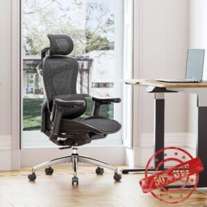 SIHOO Doro C300 Ergonomic Office Chair with Ultra Soft 3D Armrests