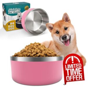IKITCHEN Dog Bowl for Food and Water