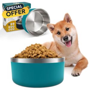 IKITCHEN Dog Bowl for Food and Water