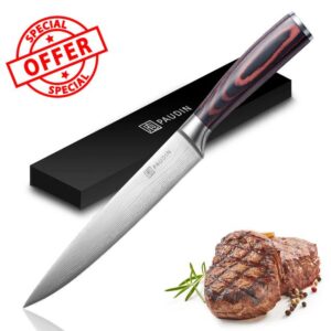 PAUDIN Carving Knife