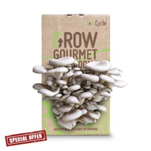 GroCycle Oyster Mushroom Growing Kit | Gardening Gifts - Grow Your Own Mushrooms Kit | Fun to Grow & Delicious to Eat | Ready to Cook in 14 Days | Mushroom Gifts