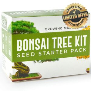Urban Sprout Bonsai Tree Kit - Grow Your Own Bonsai Trees from Seed - Sustainable Eco Gardening Gift Set with 5 Bonzai Seed Varieties and Bonzie Starter kit Tools
