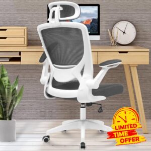 KERDOM Ergonomic Office Chair