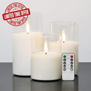Eywamage Clear Glass LED Candles with Remote Flickering Realistic Flameless Battery Candles Set of 3 D 3" H 4" 5" 6"