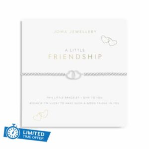 Joma Jewellery A Little Friendship Bracelet | A Little Means A Lot | A Thoughtful Gift To Share With A Special Friend