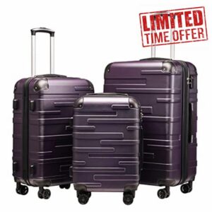 COOLIFE Hard Shell Suitcase with TSA Lock and 4 Spinner Wheels Lightweight 2 Year Warranty Durable (Grayish Purple