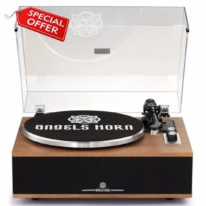 All-in-One Vinyl Record Player