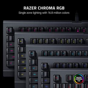 RGB Chroma Lighting
