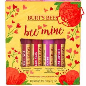 Burt's Bees Lip Balm Gift Set