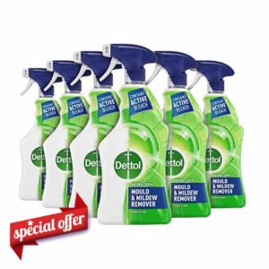 Dettol Antibacterial Mould Spray and Mildew Remover
