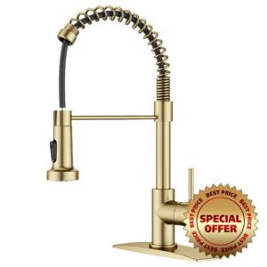 FORIOUS Gold Kitchen Tap