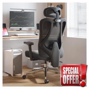 Hbada Ergonomic Office Chair Adjustable Backrest Height