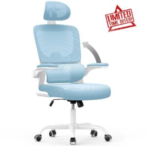 aspaluro Office Chair