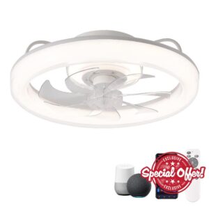 CHANFOK 20'' Ceiling Fans with Lights