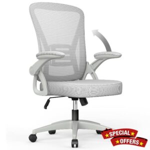 aspaluro Ergonomic Desk Chair with 90° Flip-up Armrest Lumbar Support