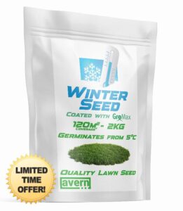 Avern Winter Grass Seed