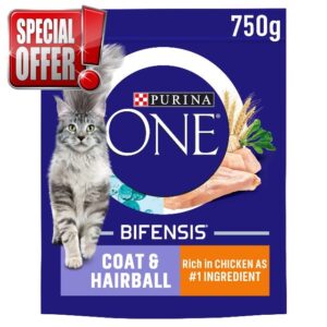 Purina ONE Adult Dry Cat Food Coat & Hairball