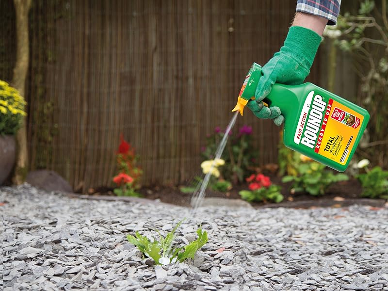 ROUNDUP Fast Action Ready To Use Weedkiller in use