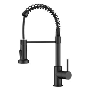 Kitchen Taps with Pull Out Spray
