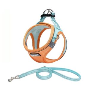 No-Chock Soft Mesh Reflective Breathable Easy Walk Escape Proof Vest Harnesses with Safety Buckle for Small Medium Dogs
