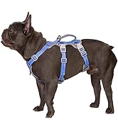 Escape Free Dog Harness, No Slip Harness with Lift Handle, Adjustable No Pull Vest with Soft Brea...