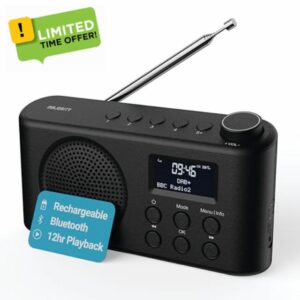 Portable Bluetooth DAB
