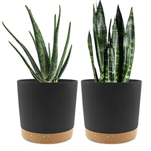 Planters for Indoor Plants with Drainage Holes and Removable Base