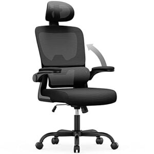 Ergonomic Office Chair Computer Chair with Back Support and Headrest