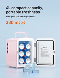 6 Can Portable AC+DC Power Cooler & Warmer