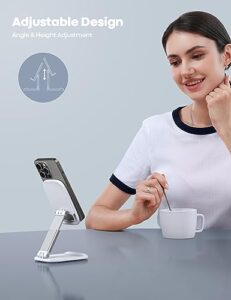 13 12 Pro Max Mini