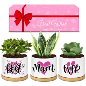 Mum Gifts Ceramic Plant Pots