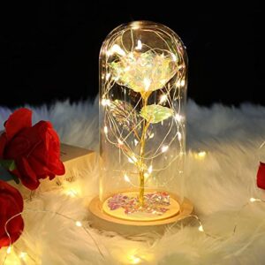 Galaxy Eternal Rose Gift for Her Girlfriend Wife in Glass Dome Colorful Artificial Roses with LED Light on Valentine's Day