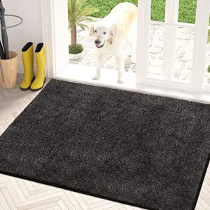Non-Slip Machine Washable Entrance Rug