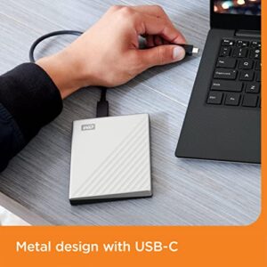 backup and password protection - Works with PC