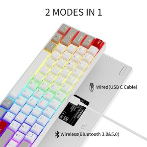 60% USB C Wired/Bluetooth RGB Backlit Compact Hot Swappable Keyboard